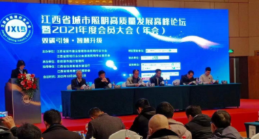 开云官方web站-开云online(中国)受邀参加江西省城市照明高质量发展高峰论坛